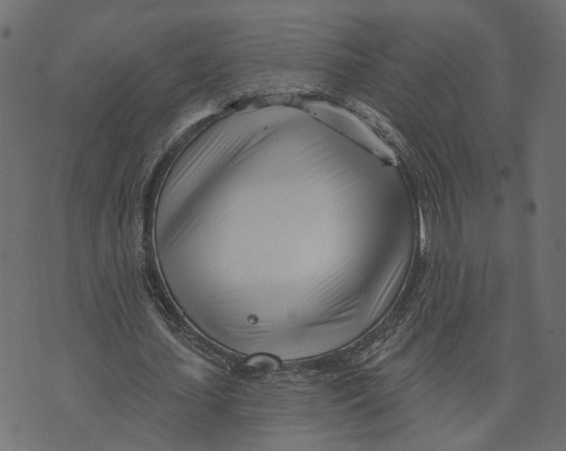 X0000073420627200608251551