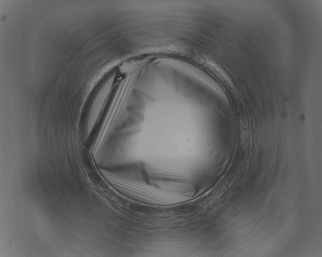 X0000073420628200608251551