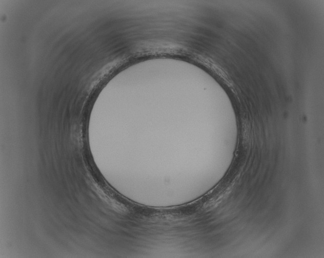 X0000073420629200608251551