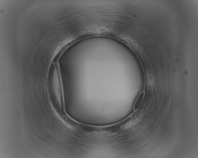 X0000073420630200608251551