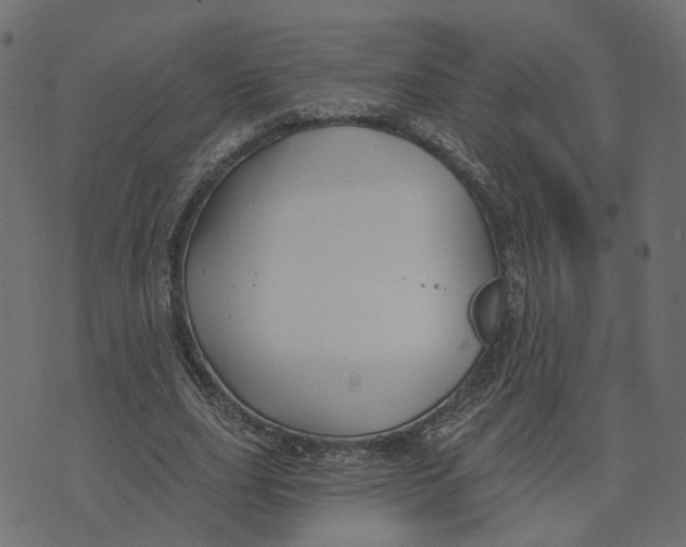 X0000073420631200608251551