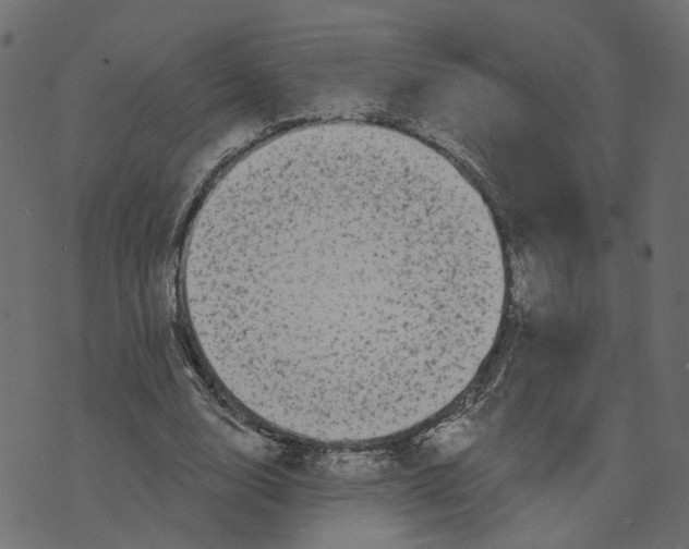 X0000073420632200608251551