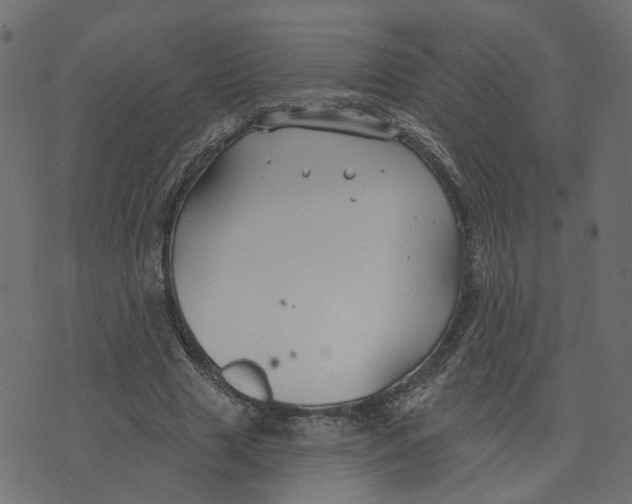 X0000073420633200608251551