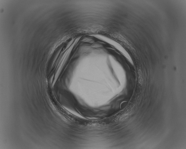 X0000073420634200608251551