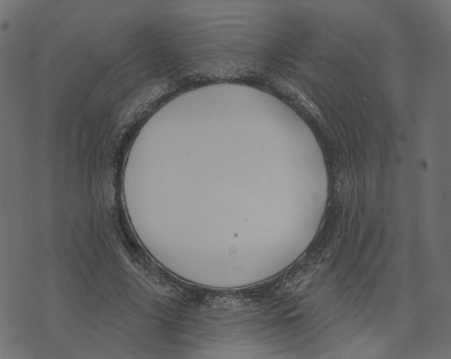 X0000073420635200608251551