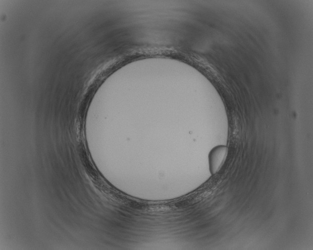 X0000073420636200608251551