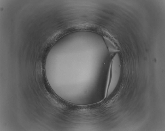 X0000073420637200608251551