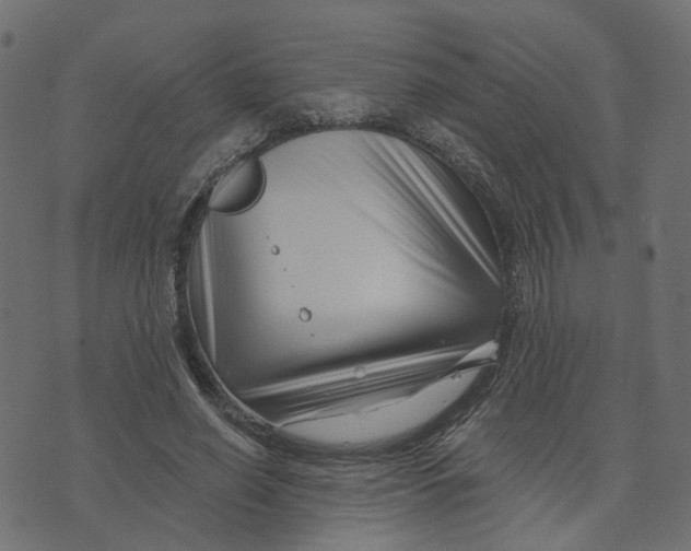 X0000073420638200608251551