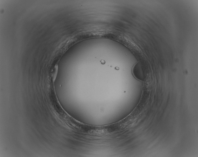 X0000073420639200608251551