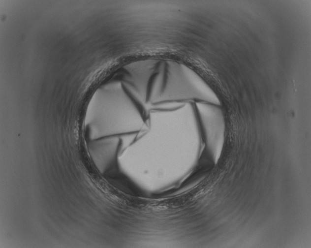 X0000073420640200608251551