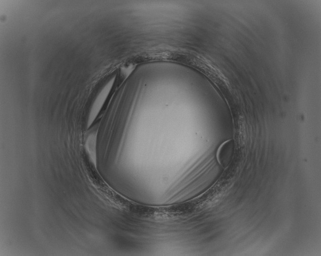 X0000073420641200608251551