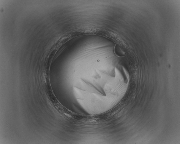 X0000073420643200608251551