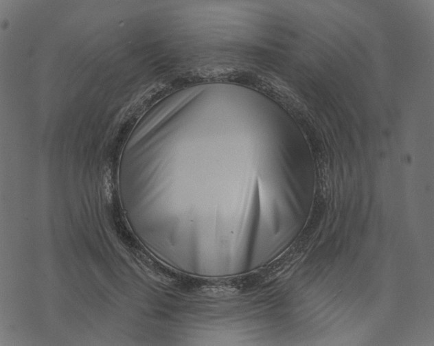 X0000073420644200608251551