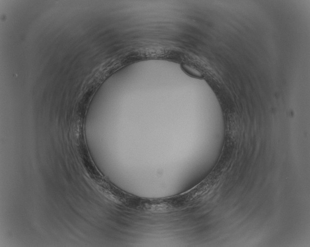 X0000073420645200608251551