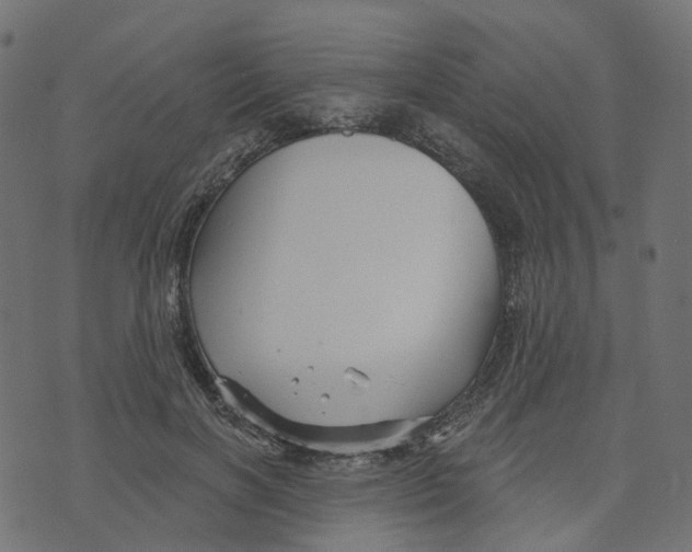 X0000073420646200608251551