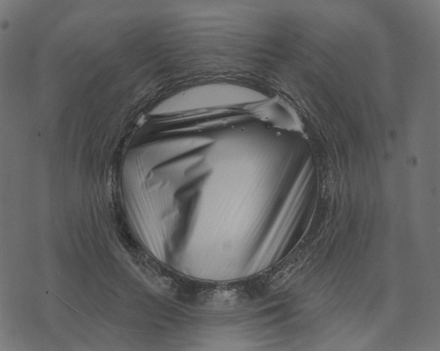 X0000073420647200608251551