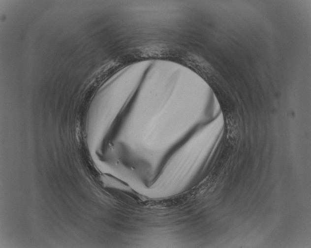 X0000073420648200608251551