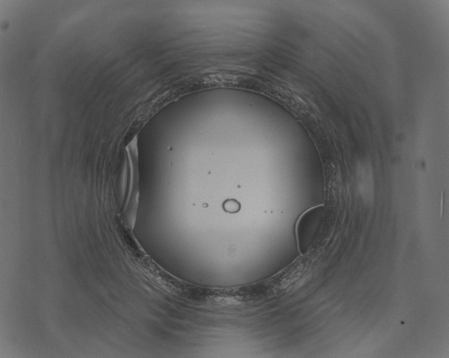 X0000073420649200608251551