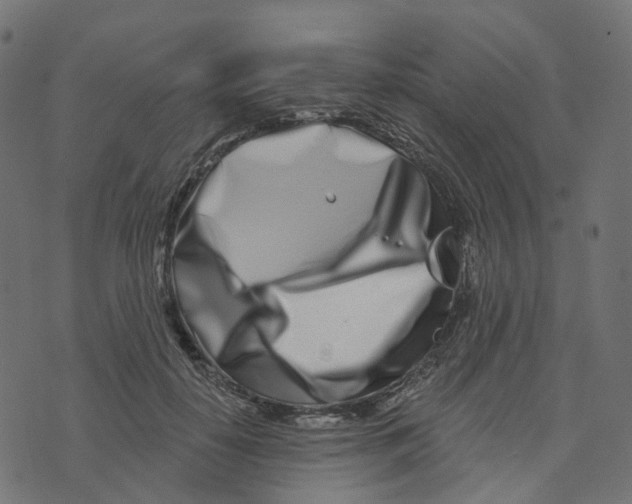 X0000073420650200608251551