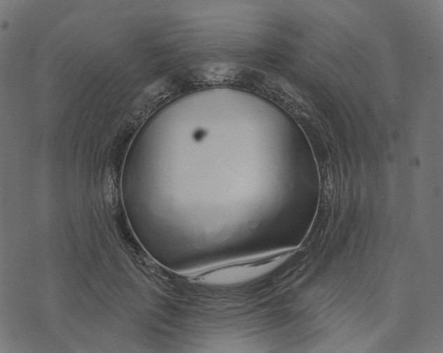 X0000073420651200608251551