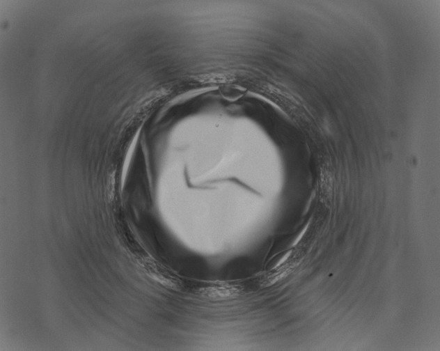 X0000073420652200608251551