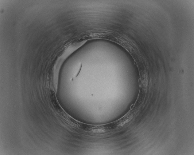 X0000073420653200608251551