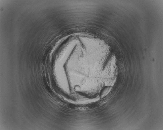 X0000073420654200608251551