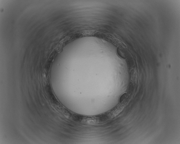 X0000073420655200608251551