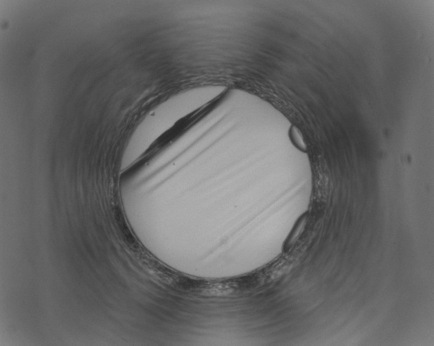 X0000073420656200608251551