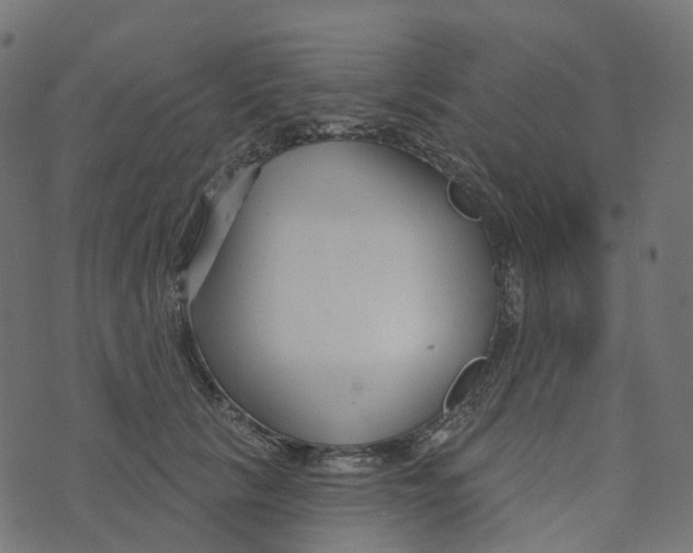 X0000073420657200608251551