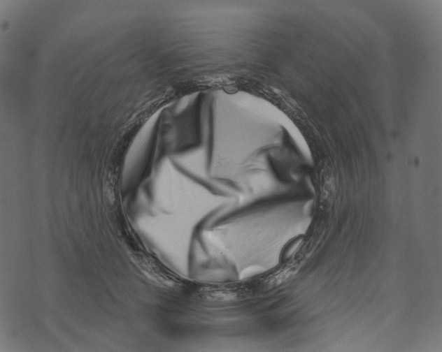 X0000073420658200608251551