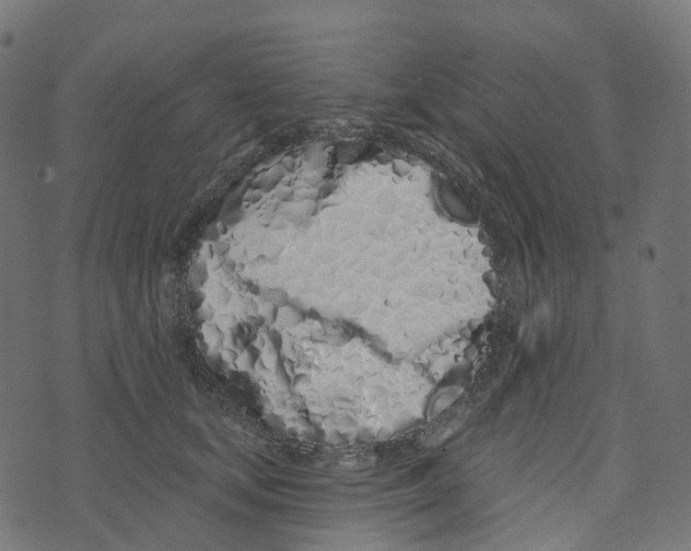 X0000073420659200608251551