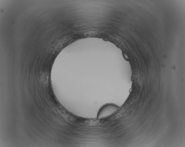 X0000073420660200608251551