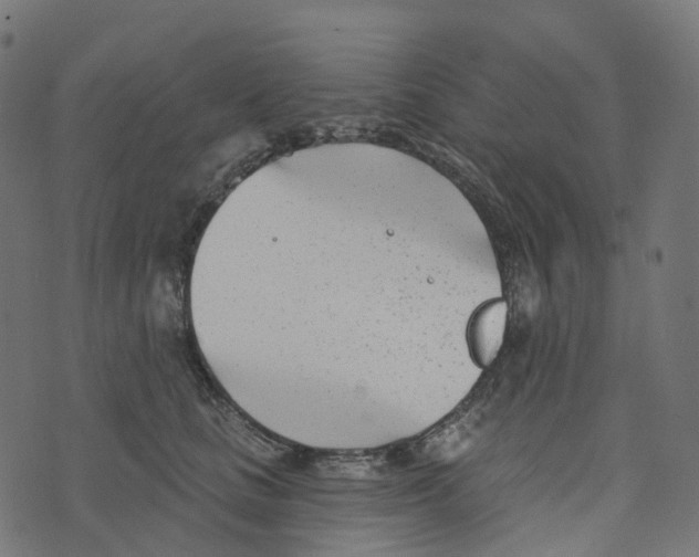 X0000073420661200608251551