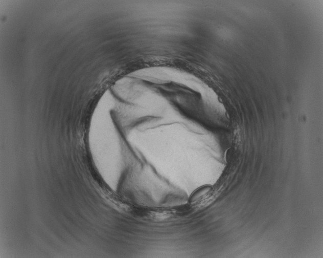 X0000073420662200608251551