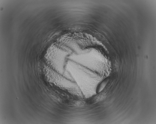 X0000073420663200608251551