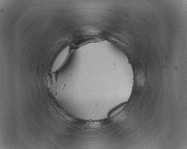 X0000073420665200608251551