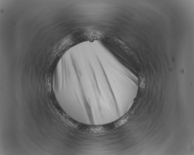 X0000073420666200608251551