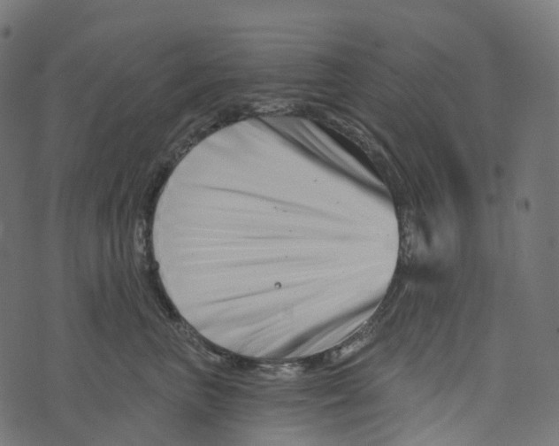 X0000073420667200608251551