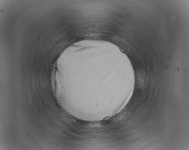 X0000073420668200608251551