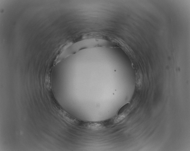 X0000073420669200608251551