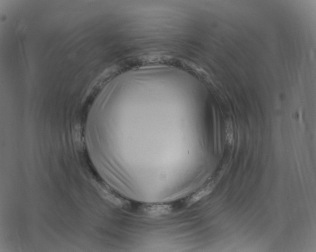 X0000073420670200608251551