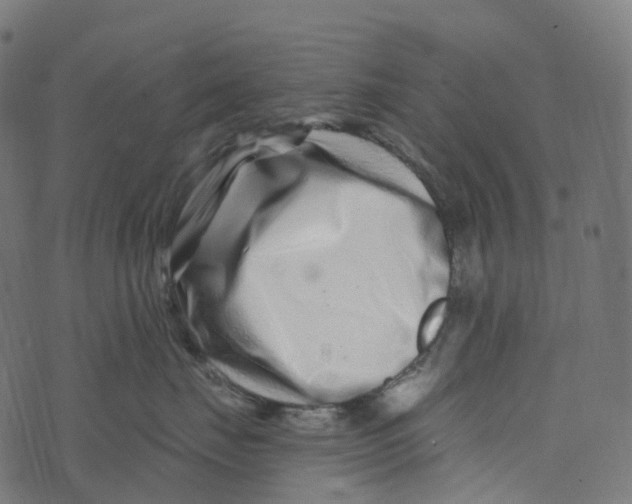 X0000073420671200608251551