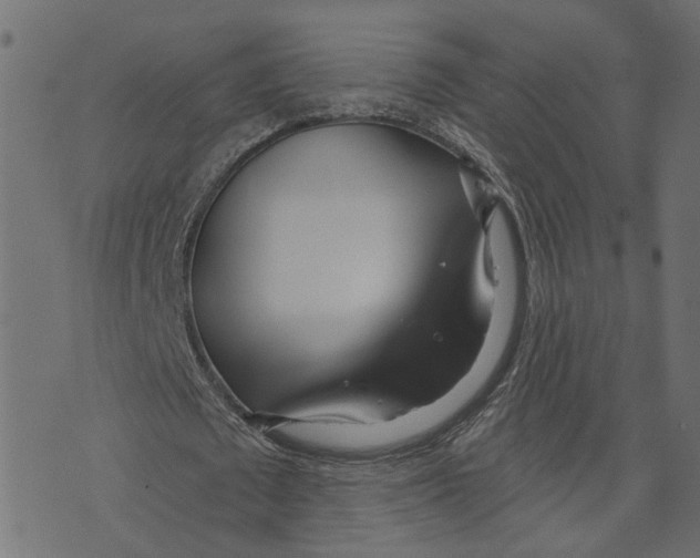 X0000073420673200608251551