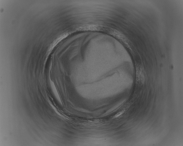 X0000073420674200608251551