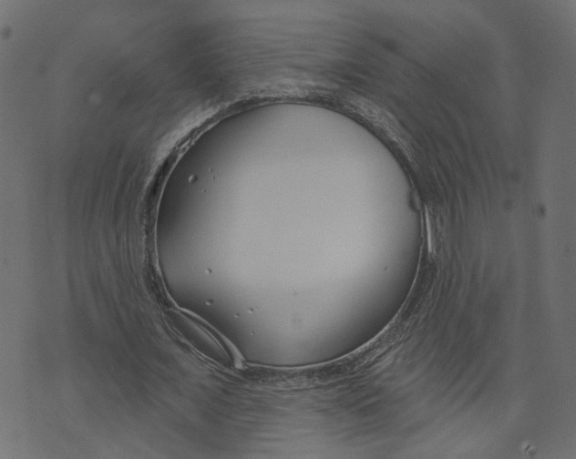 X0000073420675200608251551