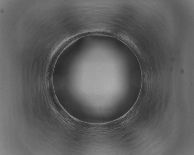 X0000073420676200608251551