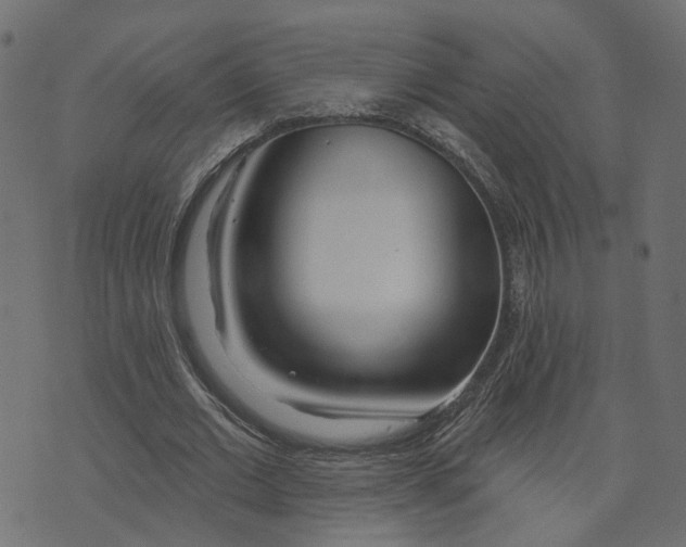 X0000073420677200608251551