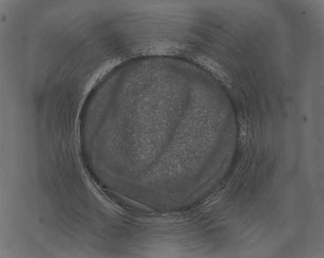 X0000073420678200608251551