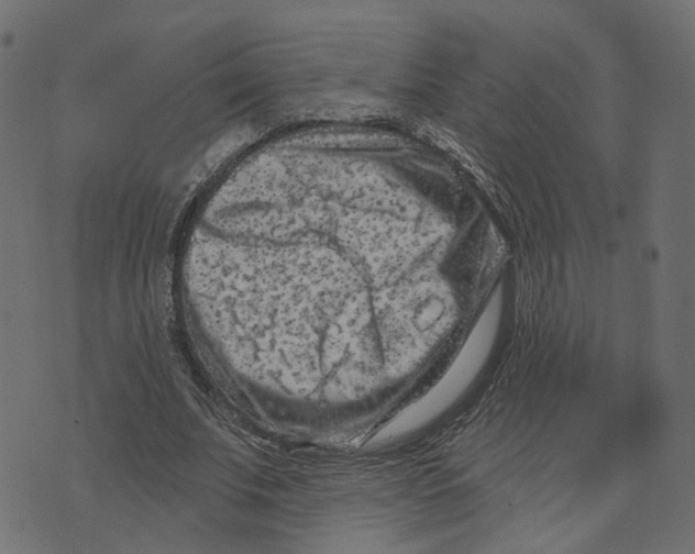 X0000073420679200608251551